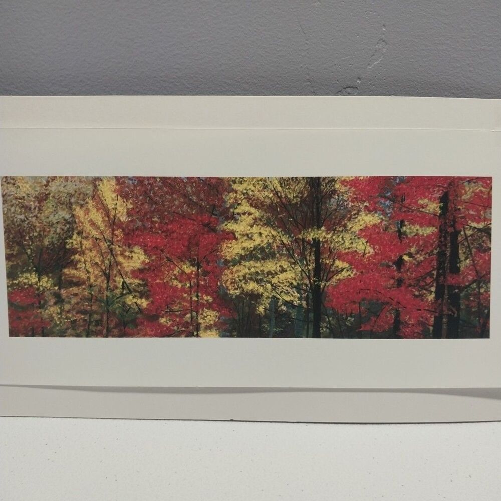George Burr Autumn Trees Print 12x6 Panoramic Fall Landscape Matted